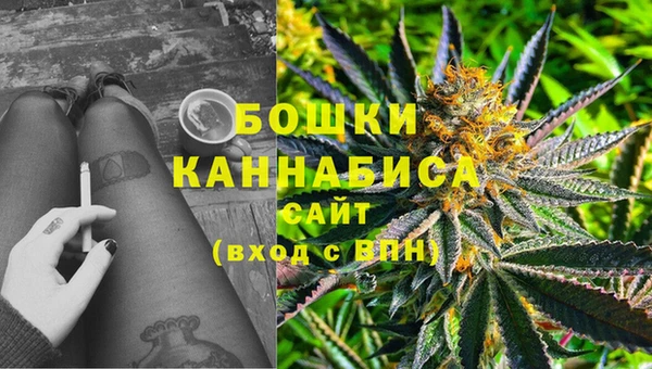 бошки Аркадак