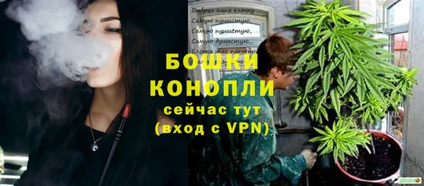 бошки Аркадак