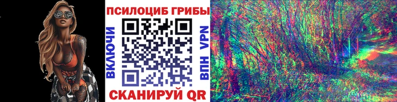 Псилоцибиновые грибы прущие грибы Камбарка