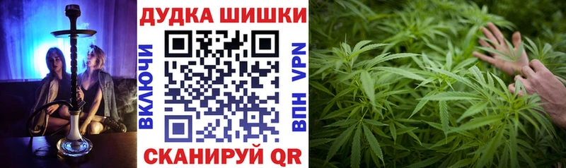ссылка на мегу   Камбарка  Канабис ГИДРОПОН 